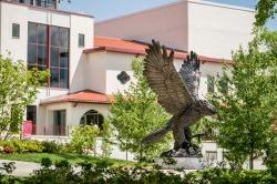 Red Hawk Statue